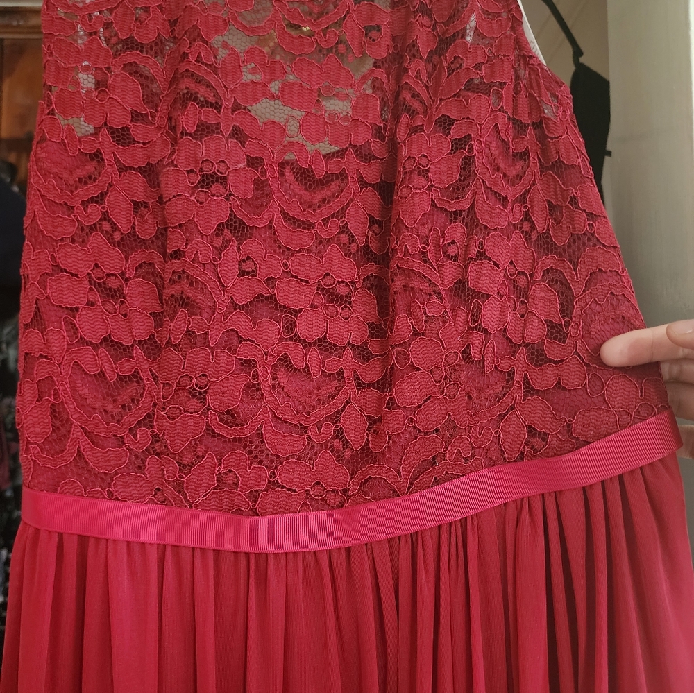 Apple Lace & Mesh Davids Bridal Bridesmaid Dress, Size 6 - Picture 5 of 6